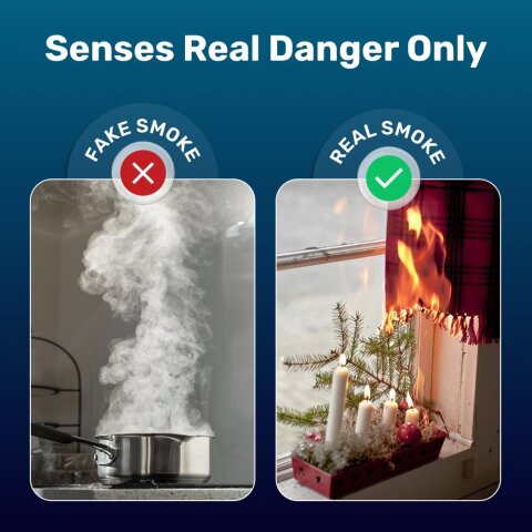 iDetectTESTPro image